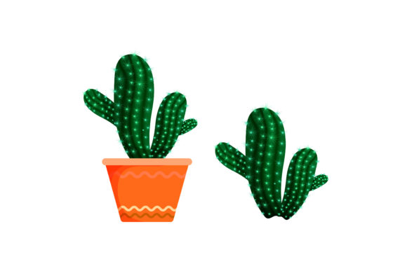 Flower Prickly Cactus in an Orange Indoor: A Guide to Exotic Desert Beauty