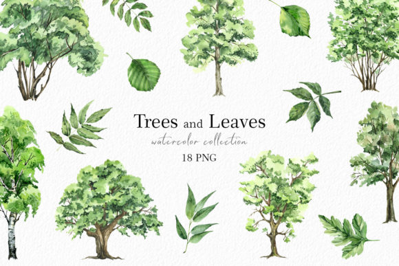 Green Forest Trees Watercolor Clipart for Creative Projects