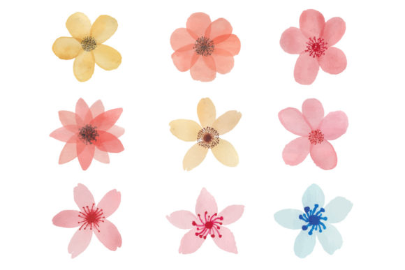 Hand-drawn Flowers with Watercolor