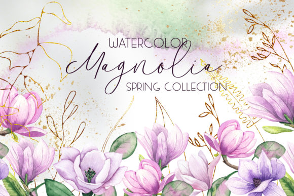 Magnolia. Watercolor Collection: A Detailed Evaluation for Design Professionals