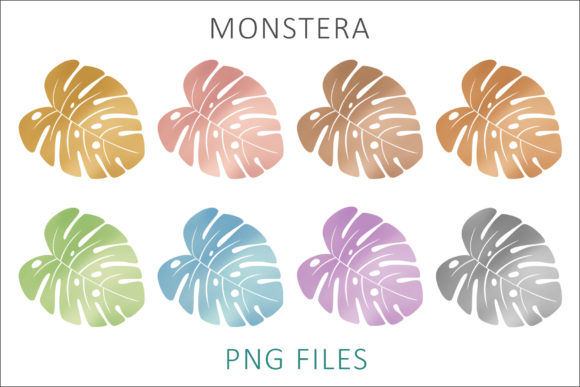 Monstera Sublimation PNG: A Practical Guide to Integrating Tropical Assets into Your Design Workflow