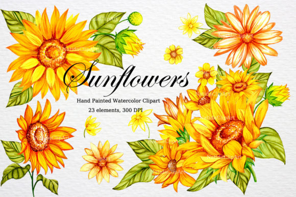 Watercolor Sunflowers Clipart: A Practical Guide to Integration and Workflow